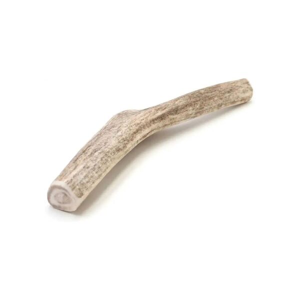 Antler Bone for Dogs 5 inch Long Lasting Dental Chew for Healthy Teeth Gums and Nerves