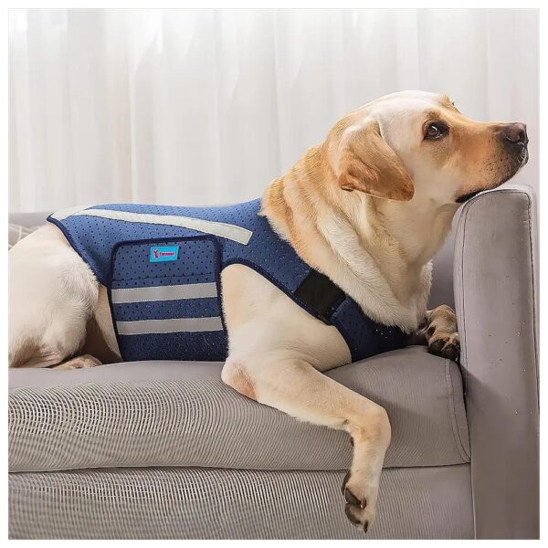 Anxiety Relief Dog Vest for Stress-Free Canines, Soft Breathable Materials, XS, Blue