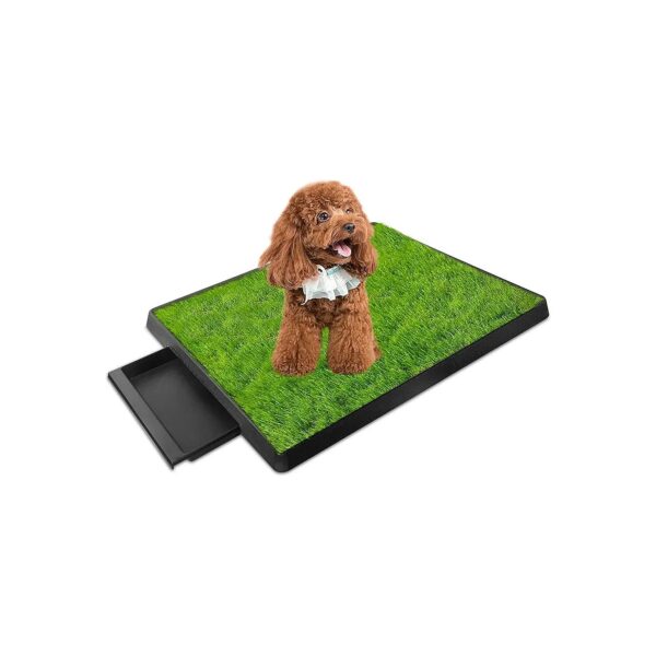 Artificial Grass Dog Potty with Tray for Small to Medium Dogs