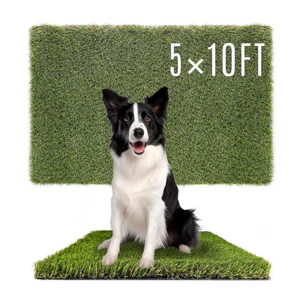 Artificial Pet Grass Pads 5x10 FT Olive Green Synthetic High-Quality Rug for Dogs