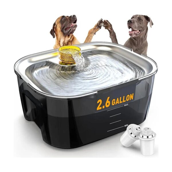 Automatic Dog Water Dispenser for Large Dogs and Multi-Pet Households