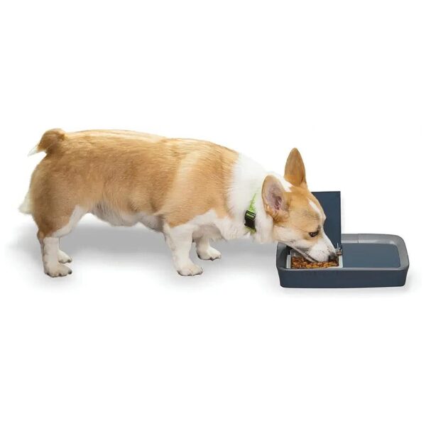 Automatic Pet Feeder for Cats and Small Dogs with Portion Control and Timer Functionality