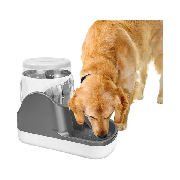 Automatic Pet Water Dispenser for Small Medium Large Dogs 1 Gallon Capacity