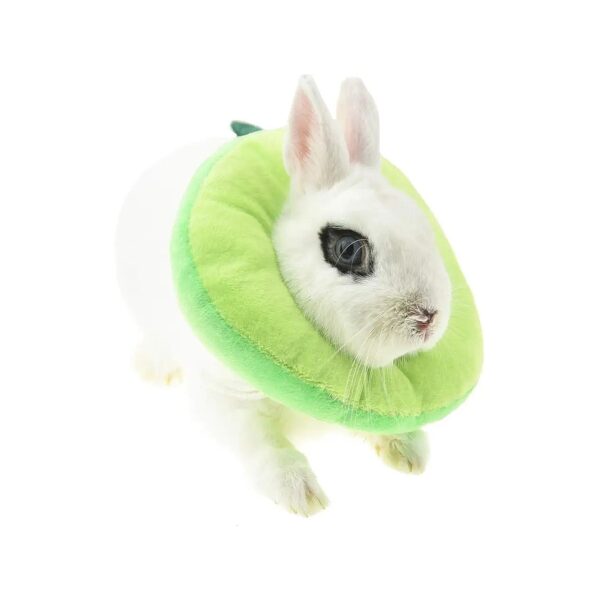 Avocado Toast Rabbit Recovery Cone for Small Animals After Surgery