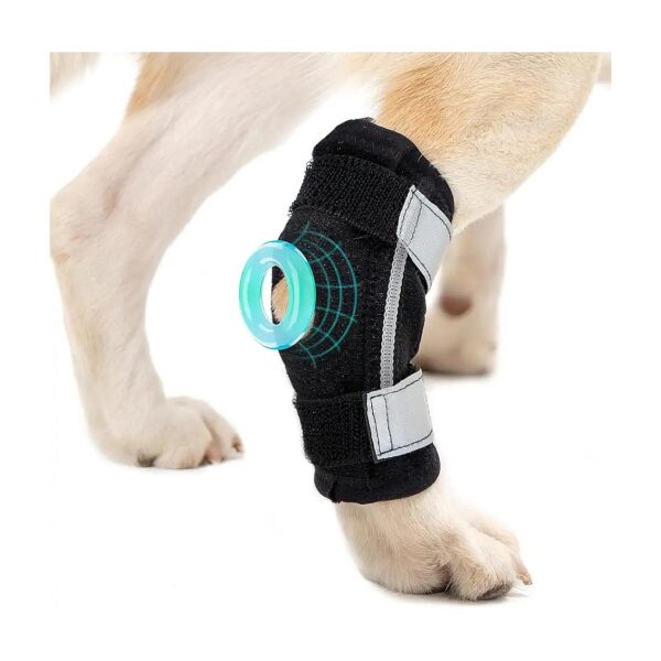 Avont Dog Rear Leg Compression Sleeve for Back Leg ACL CCL Injury