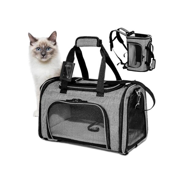 Backpack Style Travel Carrier for Cats and Small Dogs