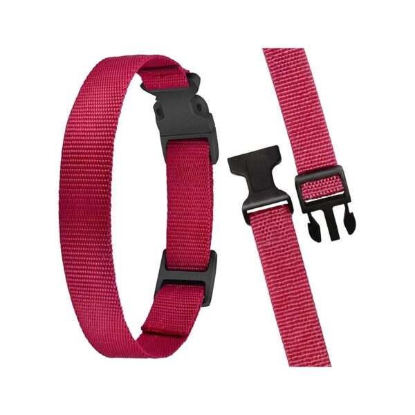 Bark Collar Compatible Red Nylon Dog Collar Strap Adjustable Buckle