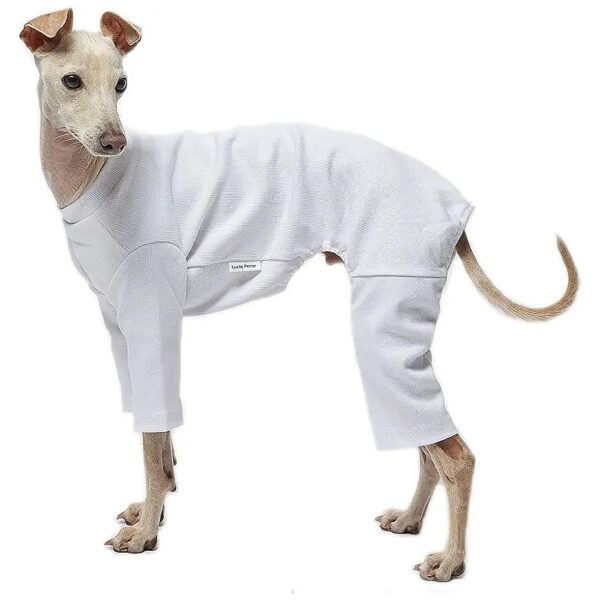 Basic White X-Large Dog Pajamas with Tear Resistant and Stretchy Design