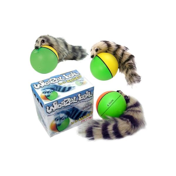 Battery Operated Fun Toy for Kids, Adults, Dogs, and Cats - 3 Pack