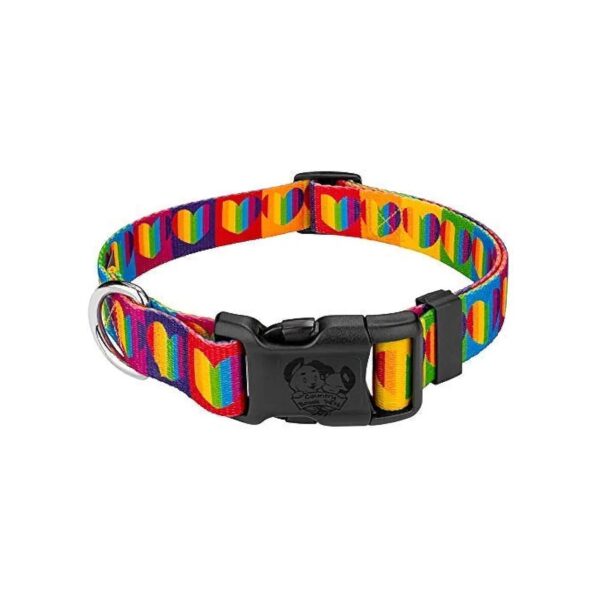 Beautiful Rainbow Hearts Dog Collar Made in the USA with High Quality Hardware