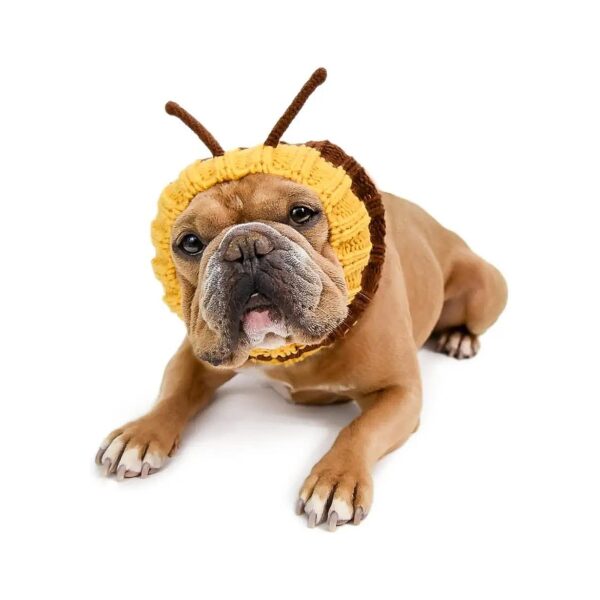 Bee Costume for Dogs Suitable for Small and Medium Breeds