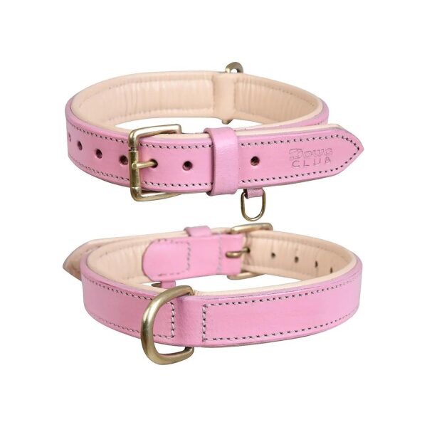 Best Blush Pink Leather Dog Collar for Medium, Large & XL Breed Dogs with Inner Padded