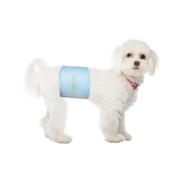 Best Disposable Male Dog Diapers for Convenience and Effectiveness