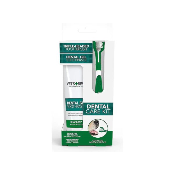 Best Dog Toothbrush and Toothpaste for Healthy and Sparkling Teeth