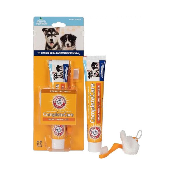 Best Dog Toothbrush and Toothpaste for Small and Large Breed Puppies