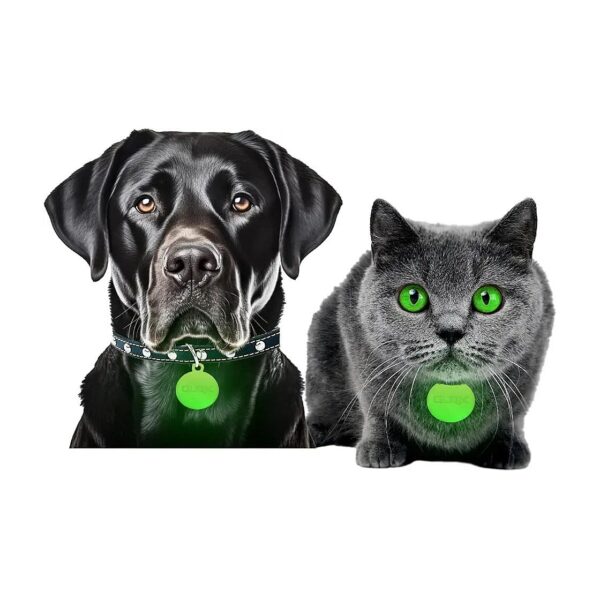 Best Pet Collar Glow Tags for Night-Time Safety and Convenience