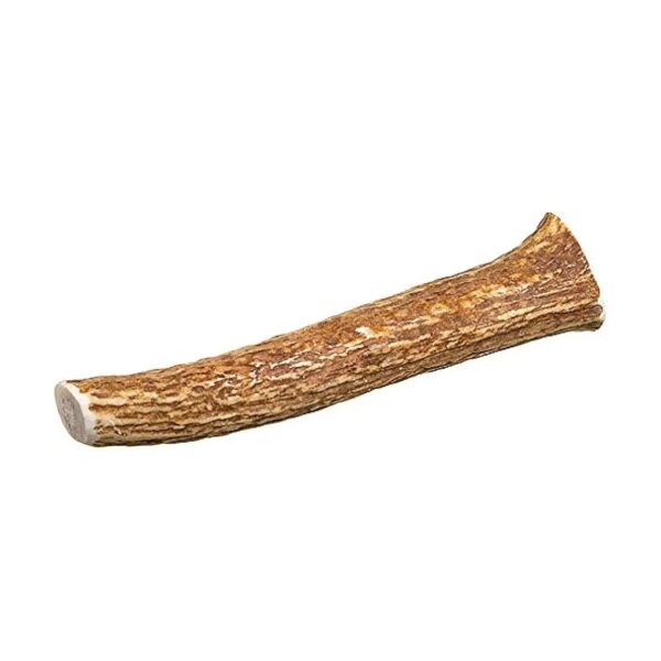 Big Deer Shed Bone, 100% Natural, Organic, All-Natural Deer Antler Chews, Bones for Dogs