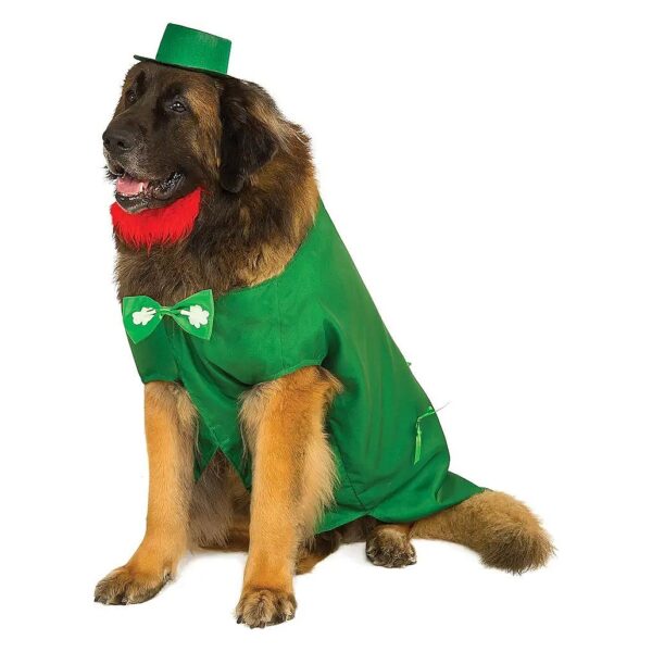 Big Dog Boutique Leprechaun Costume Special Edition XXX-Large