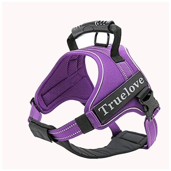 Big Dog Harness for Comfortable Outdoor Adventures with Reflective Stitching