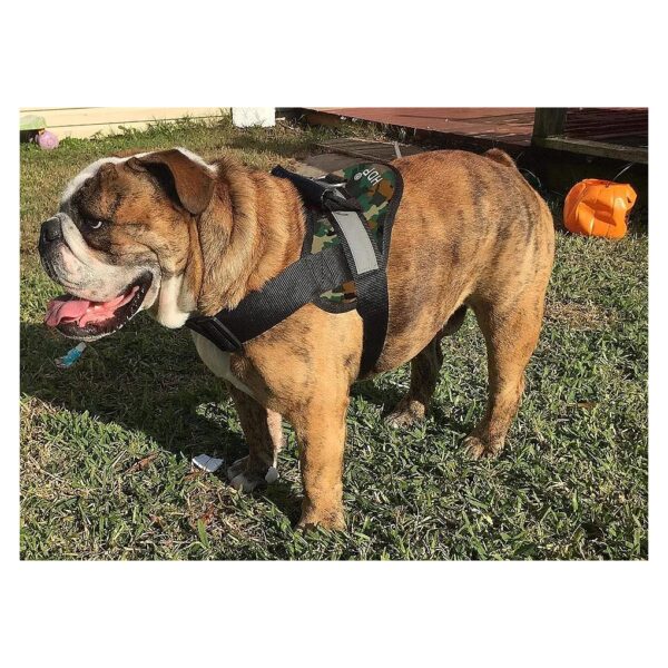 Big Dog Soft No Pull Harness for XLarge Camo Camo Patterned Polyester