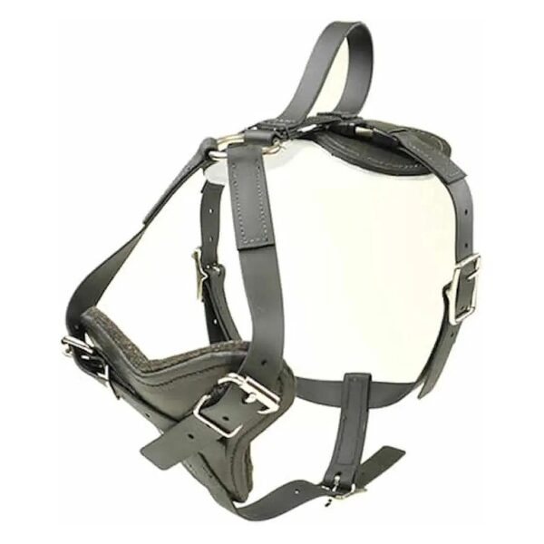 Biothane All Weather Dog Harness with Quick Release for Medium Size Breeds