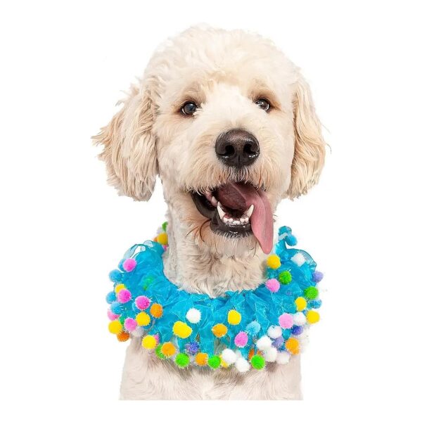 Birthday Blue Tulle Pom Pom Dog Collar for X-Large Pets