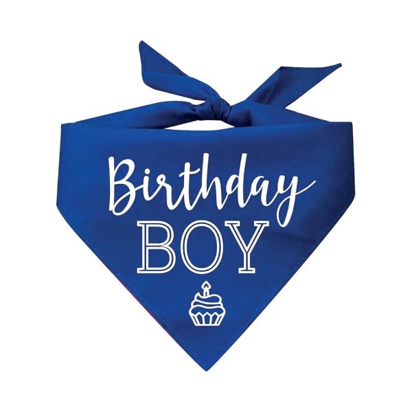 Birthday Boy with Cupcake Dog Pawdy Celebration Printed Dog Bandana