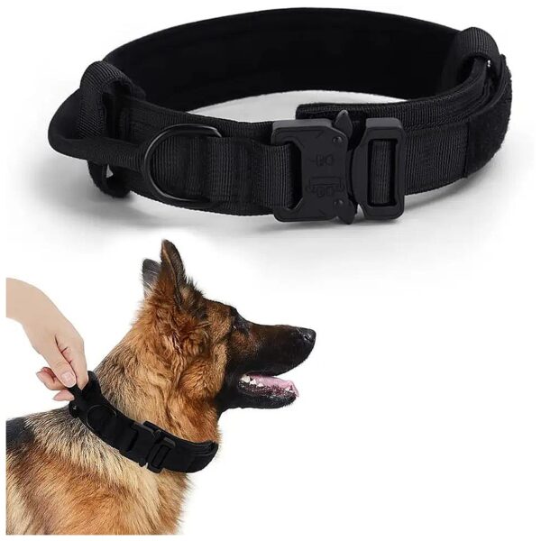 Black Adjustable Nylon Dog Collar with Control Handle and Buckle for Large Size Dogs