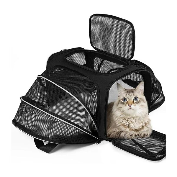 Black Airline Approved Soft Sided Pet Carrier for Cats and Small Dogs