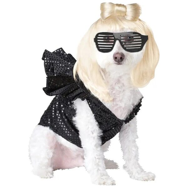 Black Dog Costumes with Wig and Bow for Large Breed Birthday Party