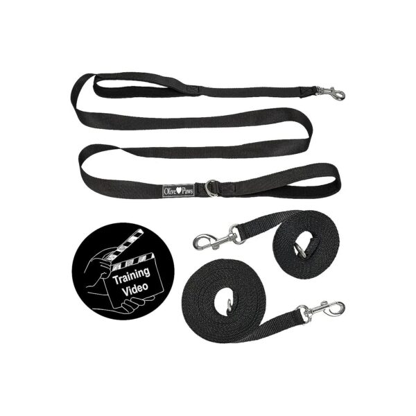 Black Dog Leash for Training Puppy Training and Walking Dogs