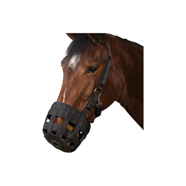 Black Grazing Muzzle for Cob-Sized Horses with Built-In Halter