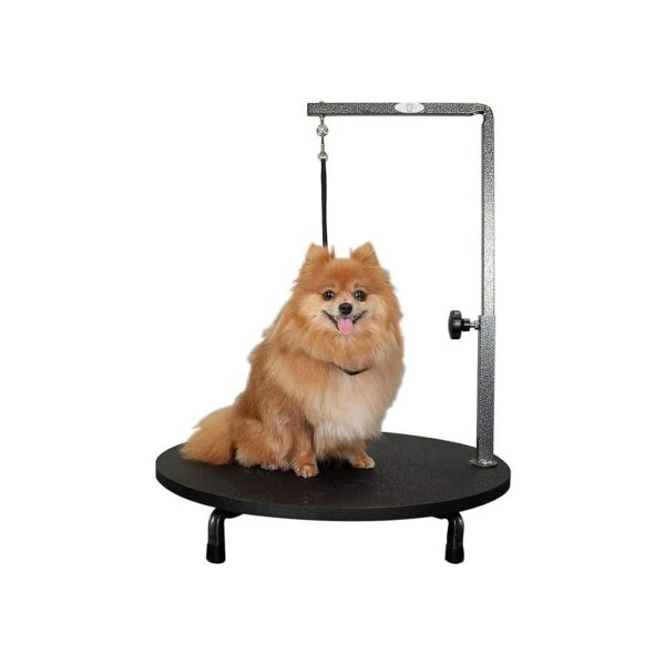 Black Grooming Table for Small Dogs and Puppies with Adjustable Height Arm and Loop