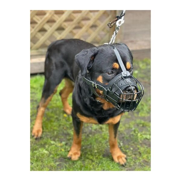 Black Metal Basket Style Dog Muzzle Covered with Rubber for Rottweiler and Mastiff