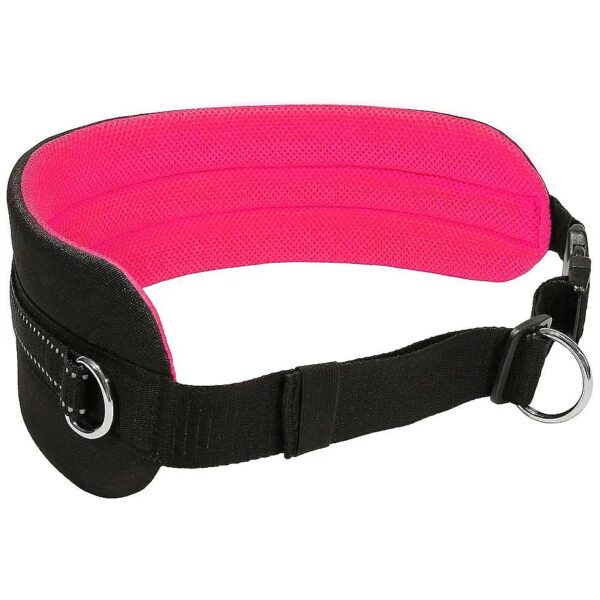 Black Neonpink Waist Belt for Canicross Skijoring Running Walking Hiking with Your Dog