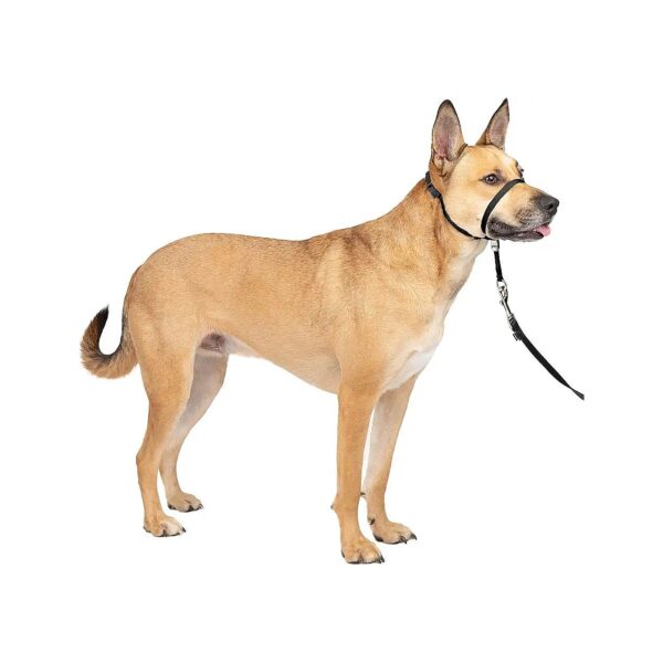 Black No-Pull Headcollar for Reducing Pulling Pressure on Dogs