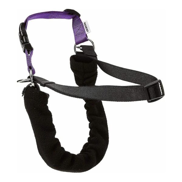 Black and Purple Dog Training Harness and Lead Set for Small Size 3-4 Dogs