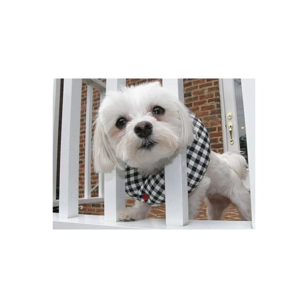 Black and White Check Stuffed Dog Collar for Secure Neck Comfort