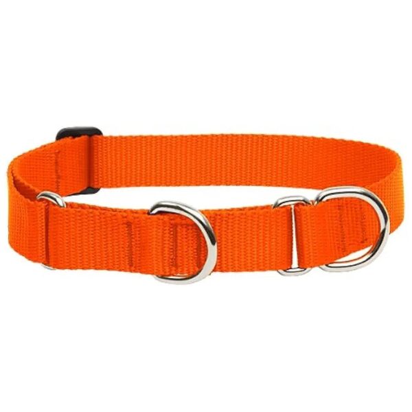 Blaze Orange Nylon Martingale Collar for Medium and Larger Dogs