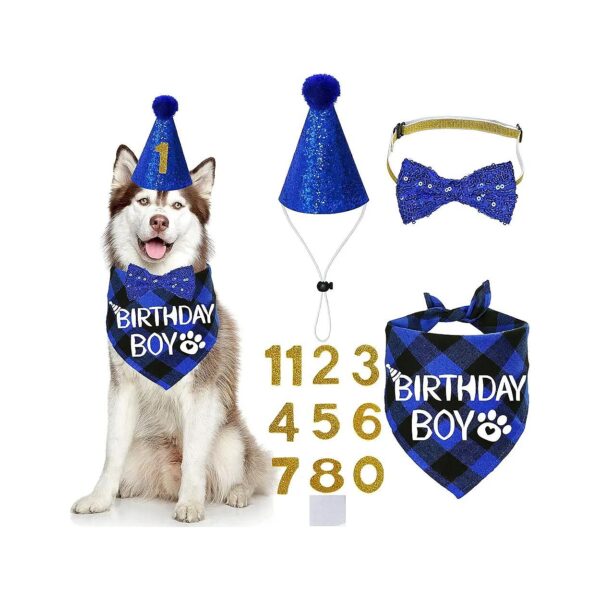 Blue Dog Birthday Party Supplies Kit for Large Breed Dogs including Hat and Bandana