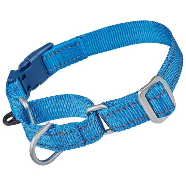 Blue Dog Collar with Reflective Stripe and Adjustable Fit for Maximum Comfort and Safety