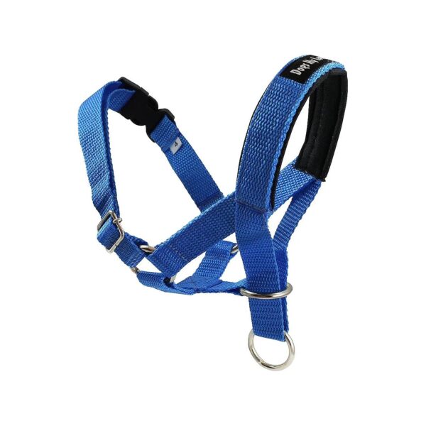 Blue Dog Head Collar Halter with Medium Size for Snouts 25"-25