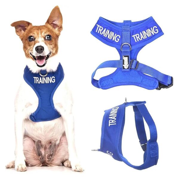 Blue Dog Training Vest with Non-Pull Front D Ring and Waterproof Padded Harness