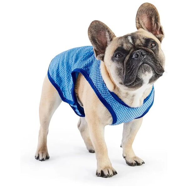 Blue Elasto-Fit Cooling Dog Vest for Large Canines Provides Optimal Comfort