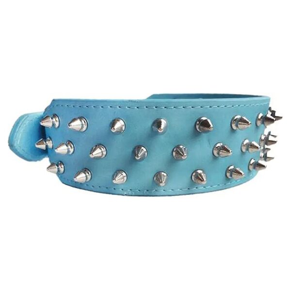 Blue Leather Pitbull Dog Collar with Nickel Plated Spikes for Everyday Walking