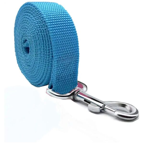 Blue Nylon Dog Leash 3 4 in x 5 ft for Small Medium Large Dogs