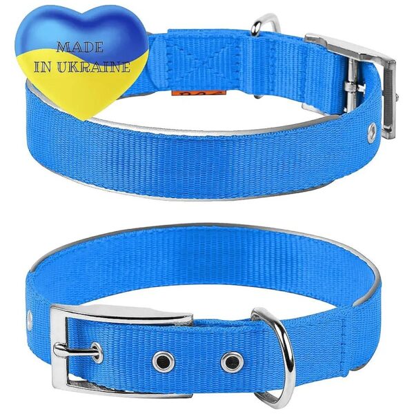 Blue Nylon Reflective Adjustable Dog Collar with Metal Buckle for Small Medium Large Dogs