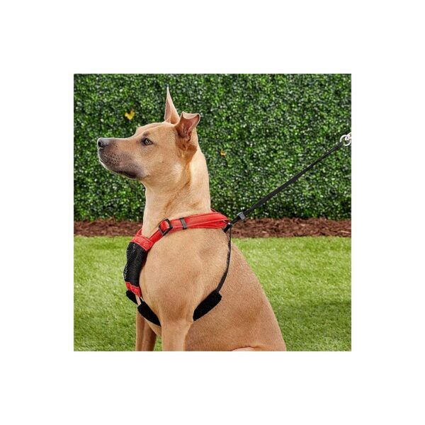 Blue Nylon Sporn Harness in Large Size with Classic Pattern