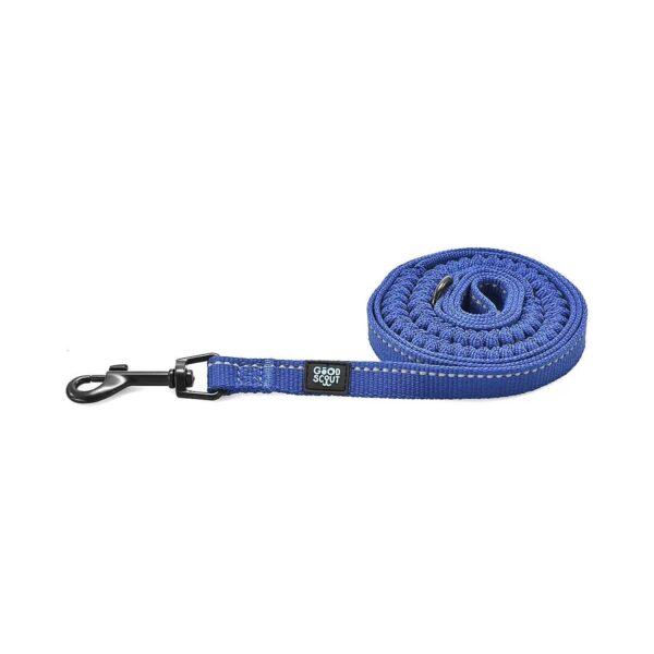 Blue Small Dog Leash with Anti-Shock Bungee and Reflective Thread for Safe and Fun Walks