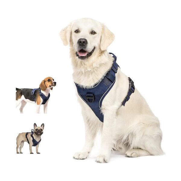 Blue Solid Nylon Oxford Dog Harness with Reflective Strips for Safe and Stylish Walking